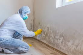 Best Mold Documentation for Insurance Claims in New London, TX